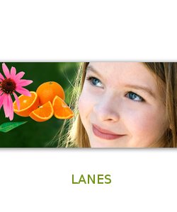 Edition Banner4